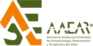logo aaear horizontal